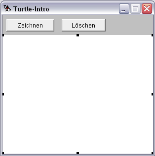 Turtle in Aktion